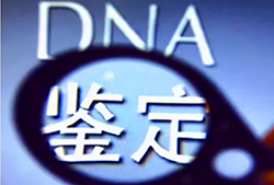 宁夏区去哪找DNA鉴定中心，宁夏区亲子鉴定收费情况