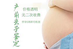 宁夏区怀孕37天能办理胎儿亲子鉴定吗[免费预约]，宁夏区做无创孕期亲子鉴定办理费用